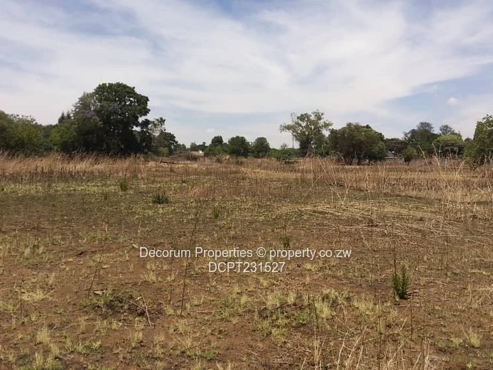 1000 m2 Marlborough Stands — Serviced.