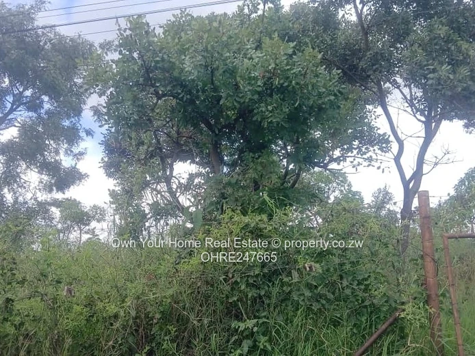 For sale is a 2337 square metre stand in Gletwin,