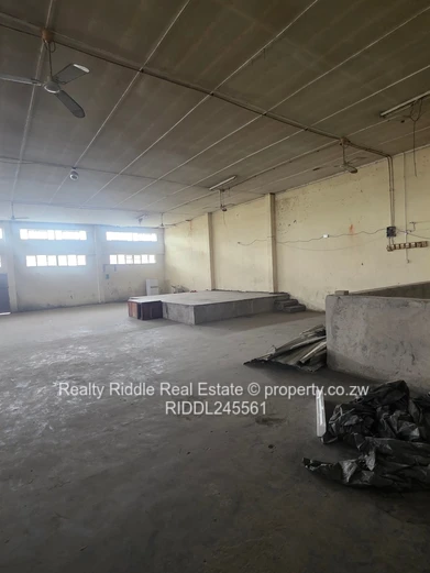 Investment Opportunity 