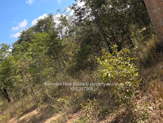 Plot For Sale