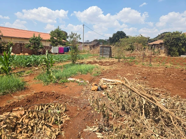 Stands & Residential Land