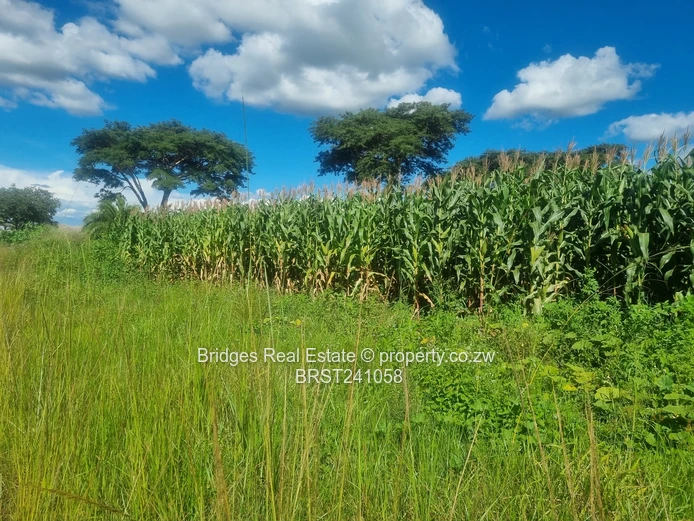 Agro Residential Parcel (Sole Mandate)