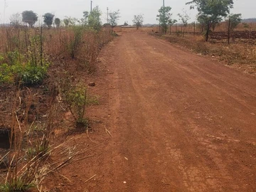 Stands & Residential Land