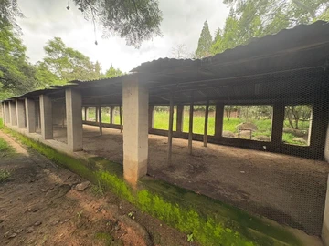 Farm & Agricultural Land