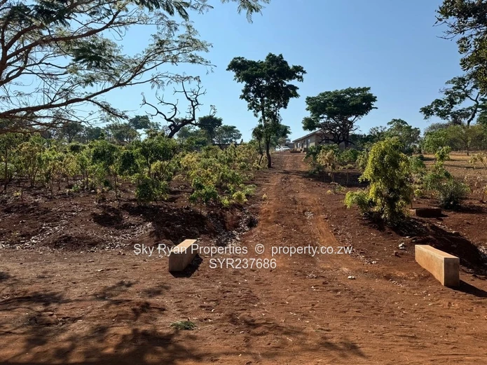 Shawasha Hills Estate Stands For Sale