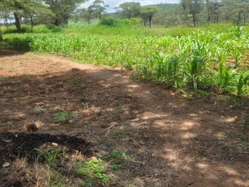 Farm & Agricultural Land