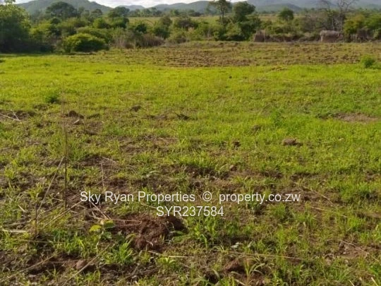 Prime Agro Plots for sale in Shamva