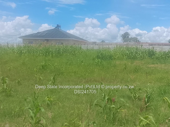 Avonlea Stand for sale 