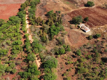 Farm & Agricultural Land