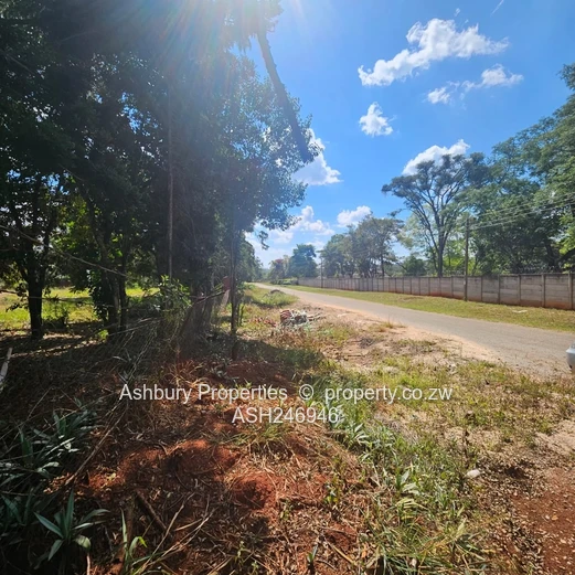 Prime Investment Opportunity in Mandara (Sole Mandate)