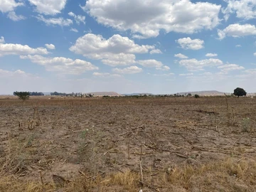 Commercial & Industrial Land