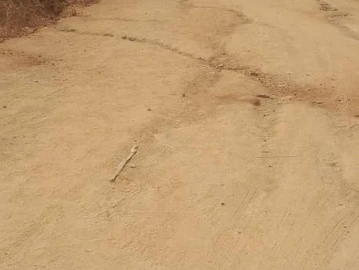 Farm & Agricultural Land