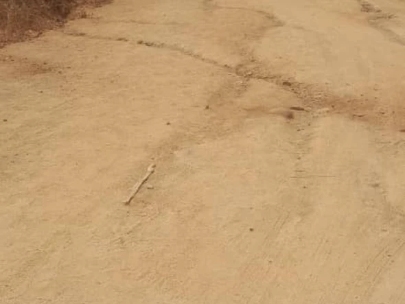 Farm & Agricultural Land