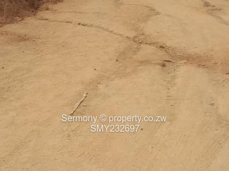 5.63ha Christon Bank Homestead - Poultry & Solar