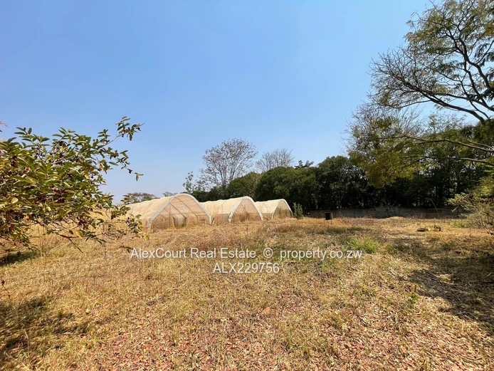 1.4 Hectare Property For Sale In HOGERTY HILL