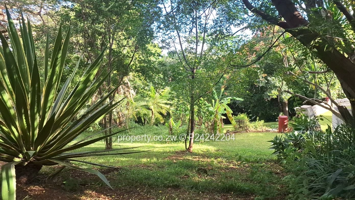 Greystone Park $185K