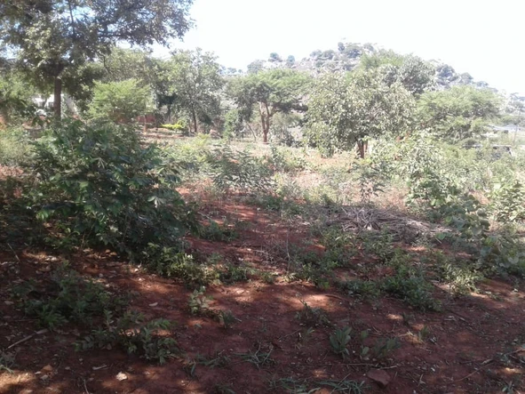 Land