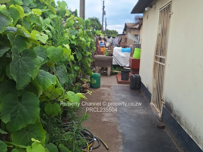 Ideal starter house . . .