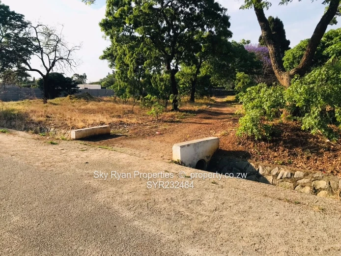 Mabelreign Stand For Sale