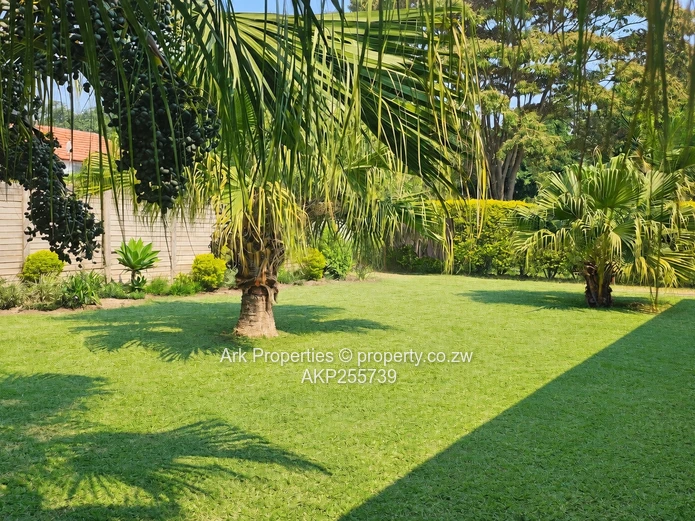 Newlands Garden Flat To Rent