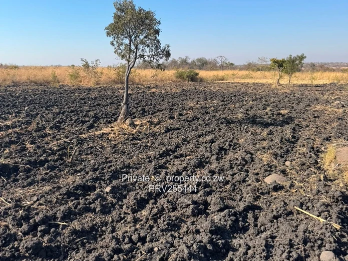 20HA FARM FOR SALE | ZVIMBA / NORTON USD 220,000 Going concern. Title deed. Surveyed.