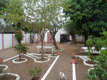 Shop & Retail Property