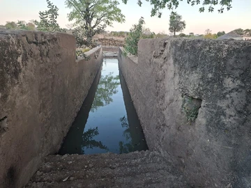 Farm & Agricultural Land