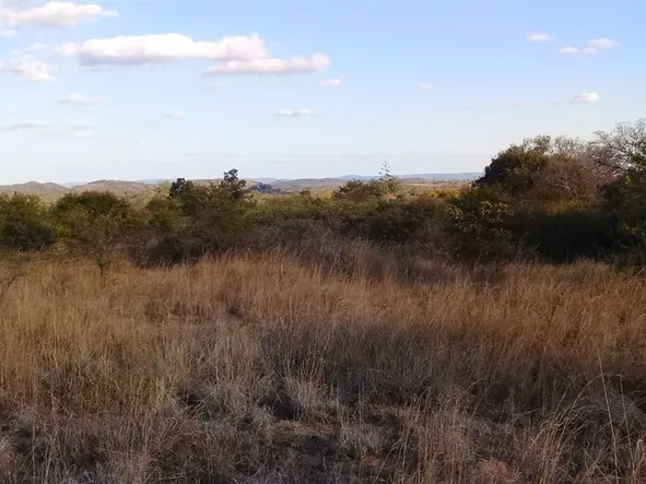 Farm & Agricultural Land