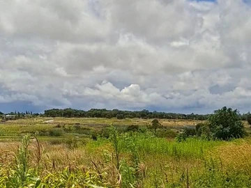 Farm & Agricultural Land