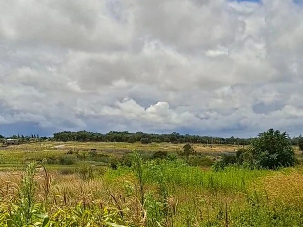 Farm & Agricultural Land