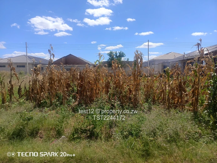 Budiriro stand for sale  (Sole Mandate)