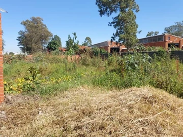 Warehouse & Factory