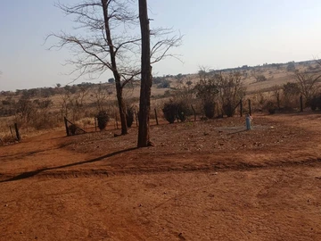 Farm & Agricultural Land