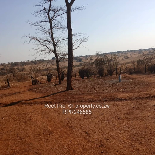 Nyabira 50-Hectare Plot For Sale 