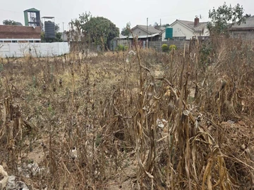 Stands & Residential Land