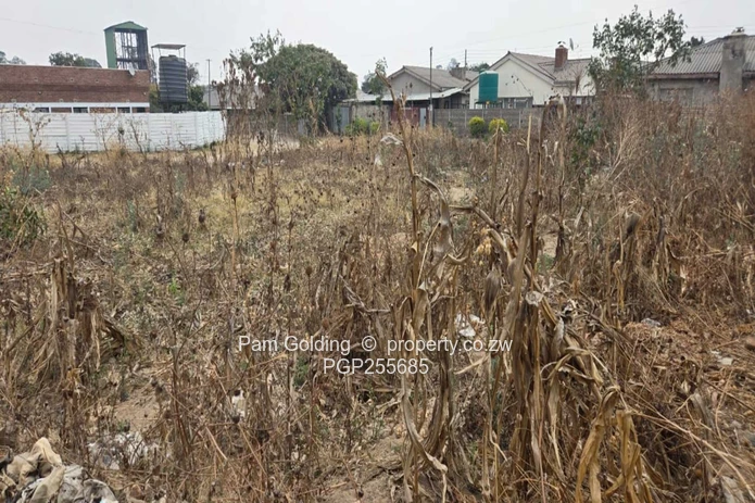 Ruwa Stands – Excellent Investment Opportunity