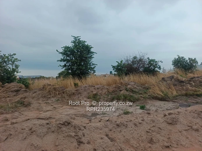 Rainfall Stand for Sale