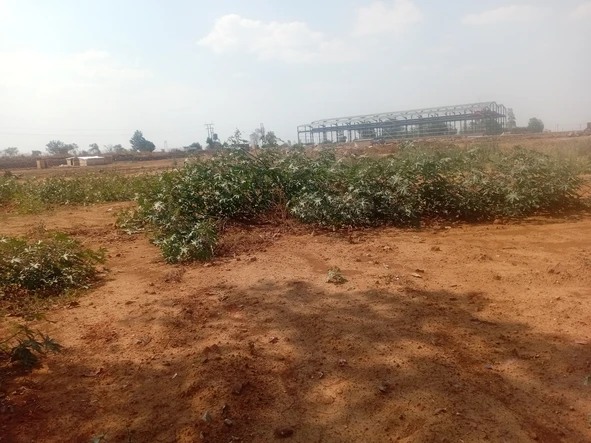 Commercial & Industrial Land