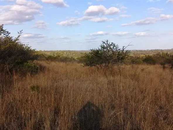 Farm & Agricultural Land