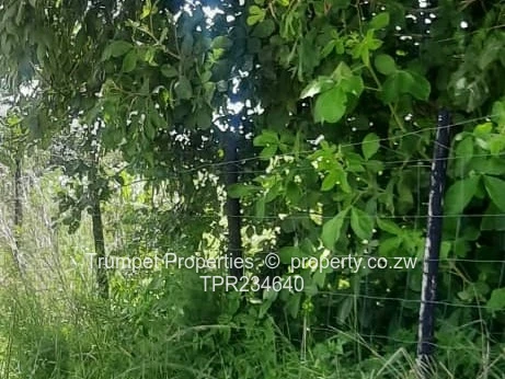 6ha Chegutu Farm — Fenced, Arable Pasture & Gravel Access (Sole Mandate)