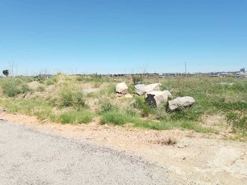 Stands & Residential Land