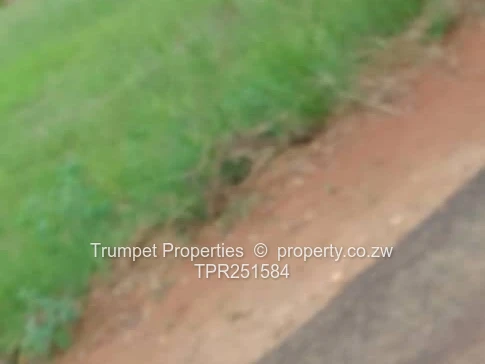 Leafy 3000m² Glen Lorne Stand — Tarred Road, Subdividable