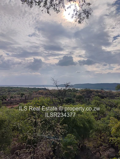 LakeView Stands for Sale