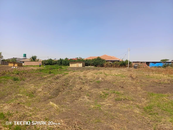 Stands & Residential Land