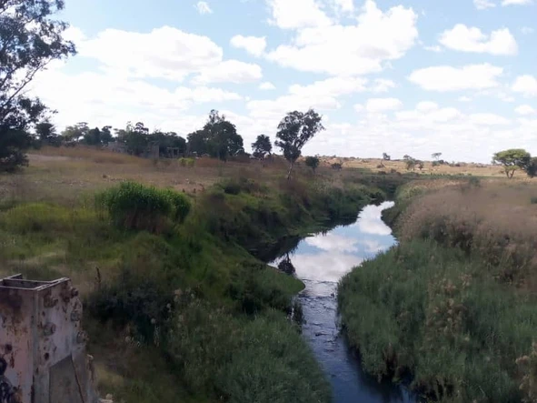 Farm & Agricultural Land