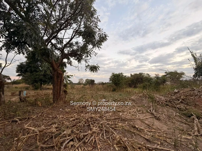 Ideal For Clusters 2.45 Hectares Land For Sale