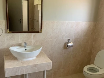 Flat & Apartment