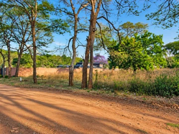 Stands & Residential Land