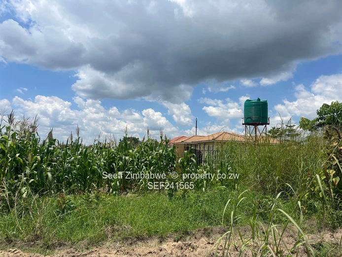 Vacant stand in Manresa (Sole Mandate)