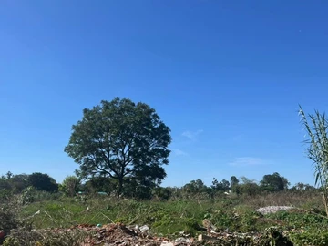  7000sqm Stand for Sale in Eastlea